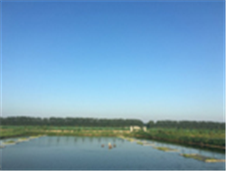 魚塘水質(zhì)檢測標(biāo)準(zhǔn)：如何測試魚塘水質(zhì)是否達(dá)標(biāo)？